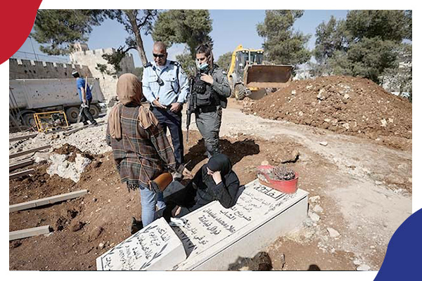 د. أسامة الأشقر يكتب: جراد