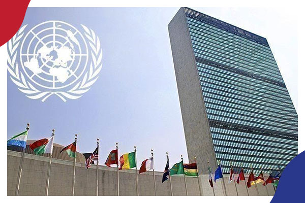 د. عز الدين الكومي يكتب: الغرب مابين حقوق الإنسان وحقوق الحيوان